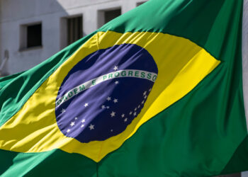 Pilares da Política Brasileira: Entendendo a Estrutura Fundacional